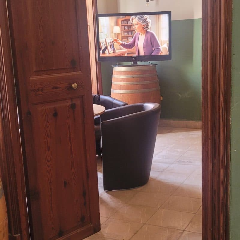 Inside: a vaulted room with armchairs and the film playing on a screen